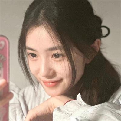 盗贼生涯